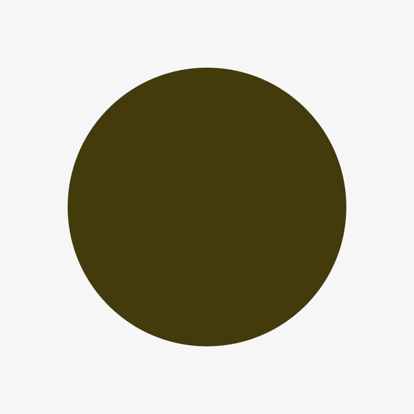 Olive Color Swatch