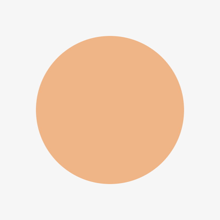 Acorn Color Swatch