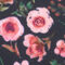 Autumn Peony Autumn Peony