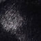 Black Faux Fur Black Faux Fur