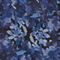 Indigo Petal Indigo Petal