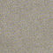 Sterling Shimmer Sterling Shimmer
