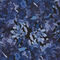 Indigo Petal