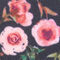 Autumn Peony