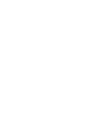 Holiday postage stamp with a pinetree outline